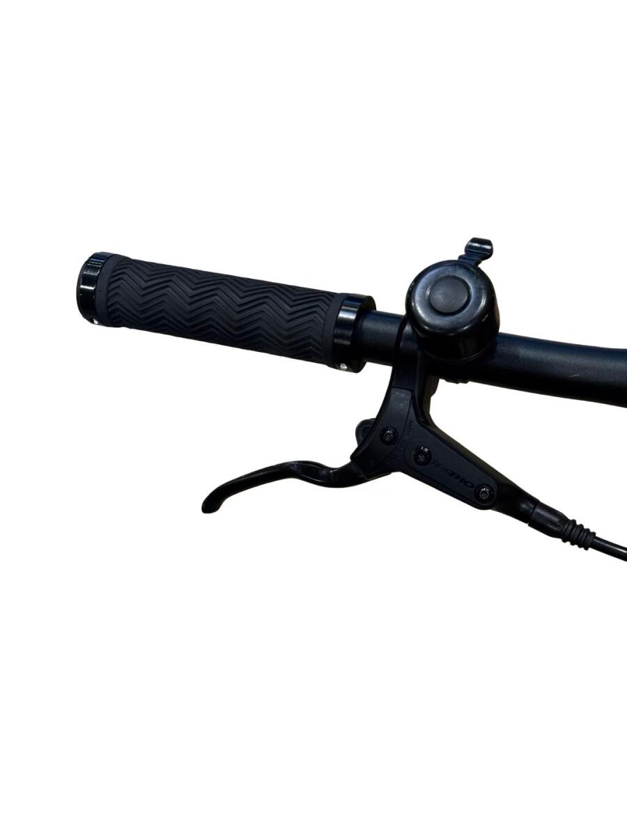 Tenways CGO600 E-Bike Single-Speed 2023 (5)