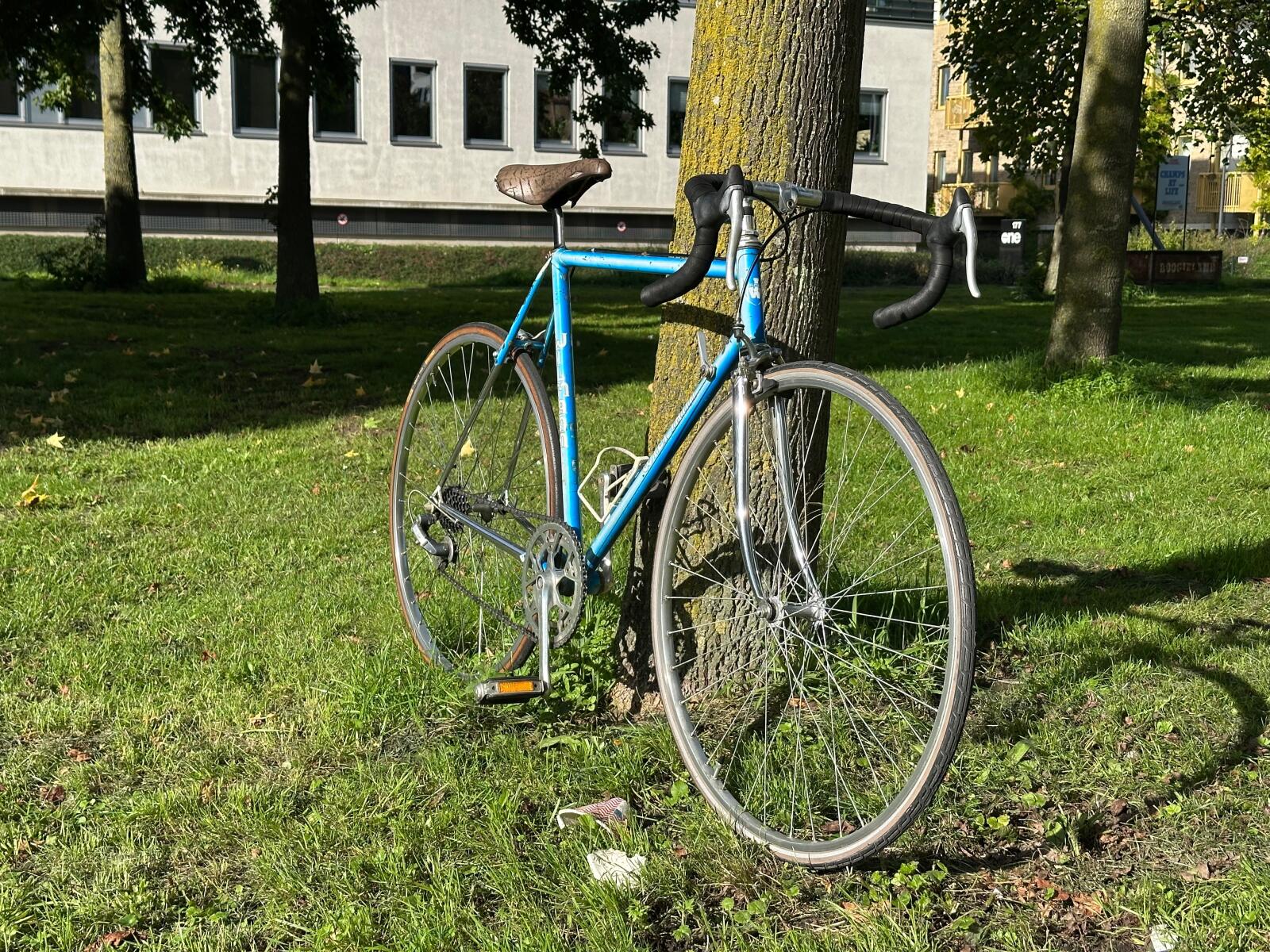 Vintage Roadbike Campagnolo & Dura Ace (3)