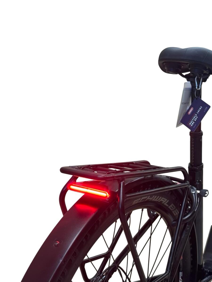Kettler Quadriga PRO Belt Automatic E-Bike Enviolo 2023 (4)