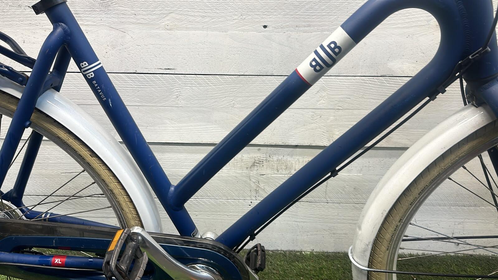 Batavus transport city bike, blue (3)