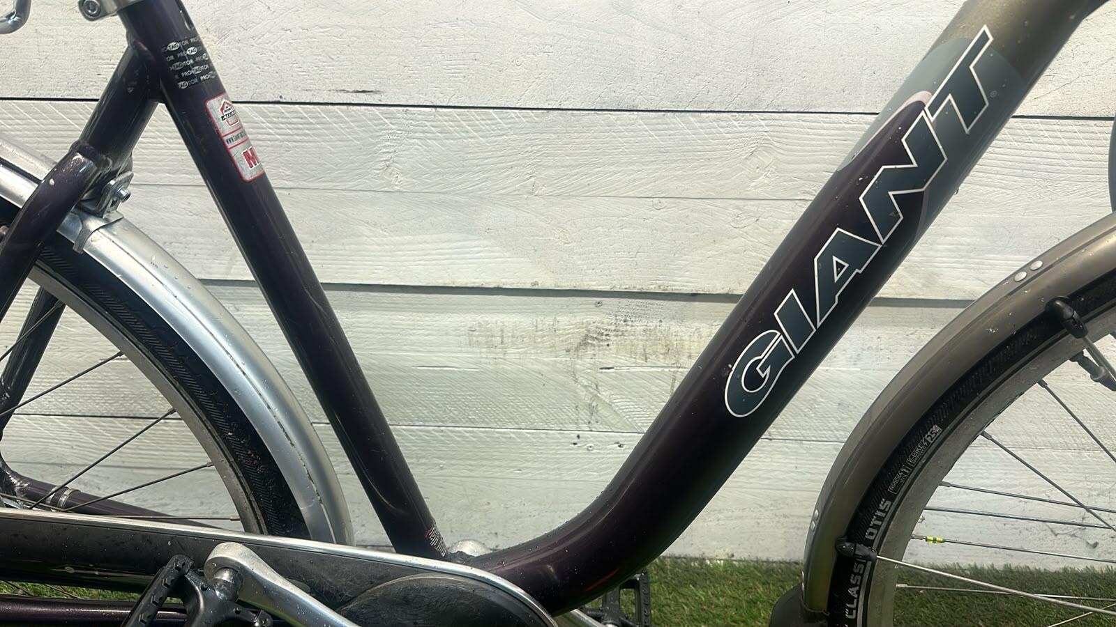 Giant city bike, black (3)
