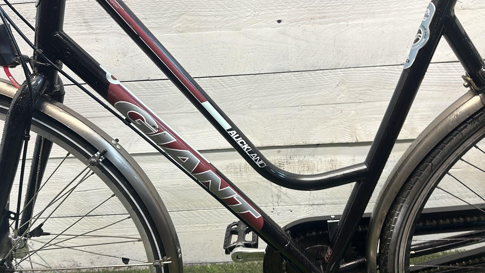 Giant city bike, red (4)