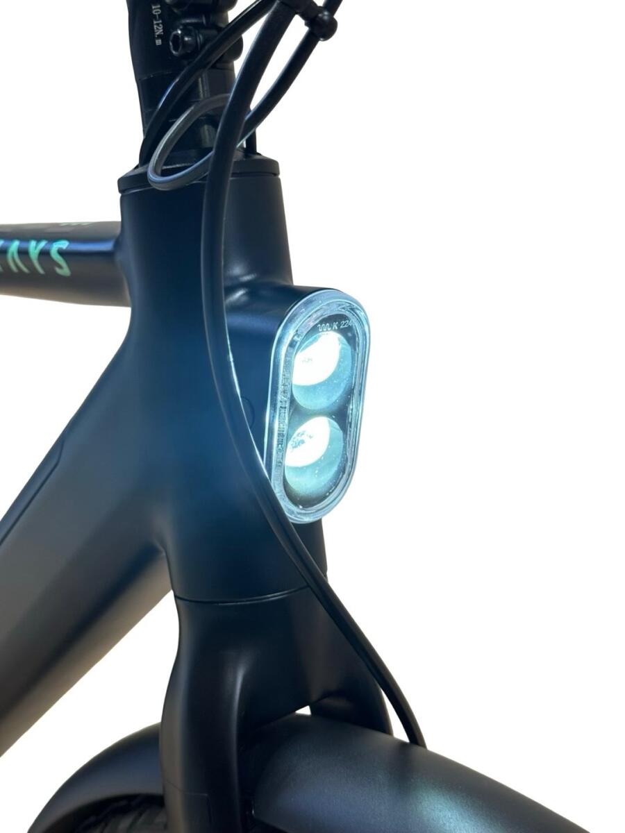 Tenways CGO600 PRO E-Bike Single-Speed 2023 (5)