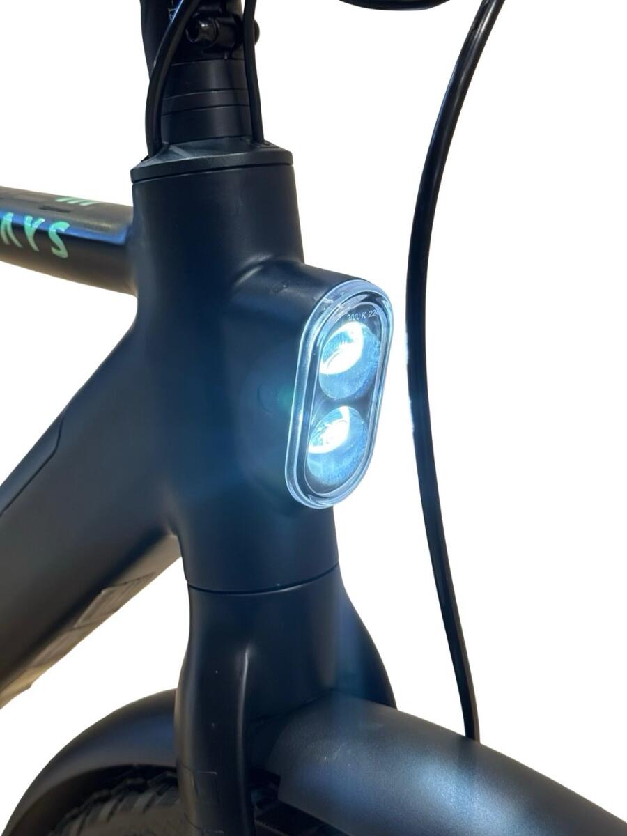 Tenways CGO600 Pro E-Bike Single-Speed 2024 (3)