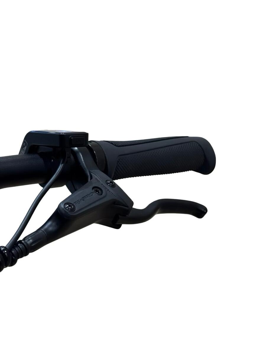 Tenways CGO600 Pro E-Bike Single-Speed 2023 (5)
