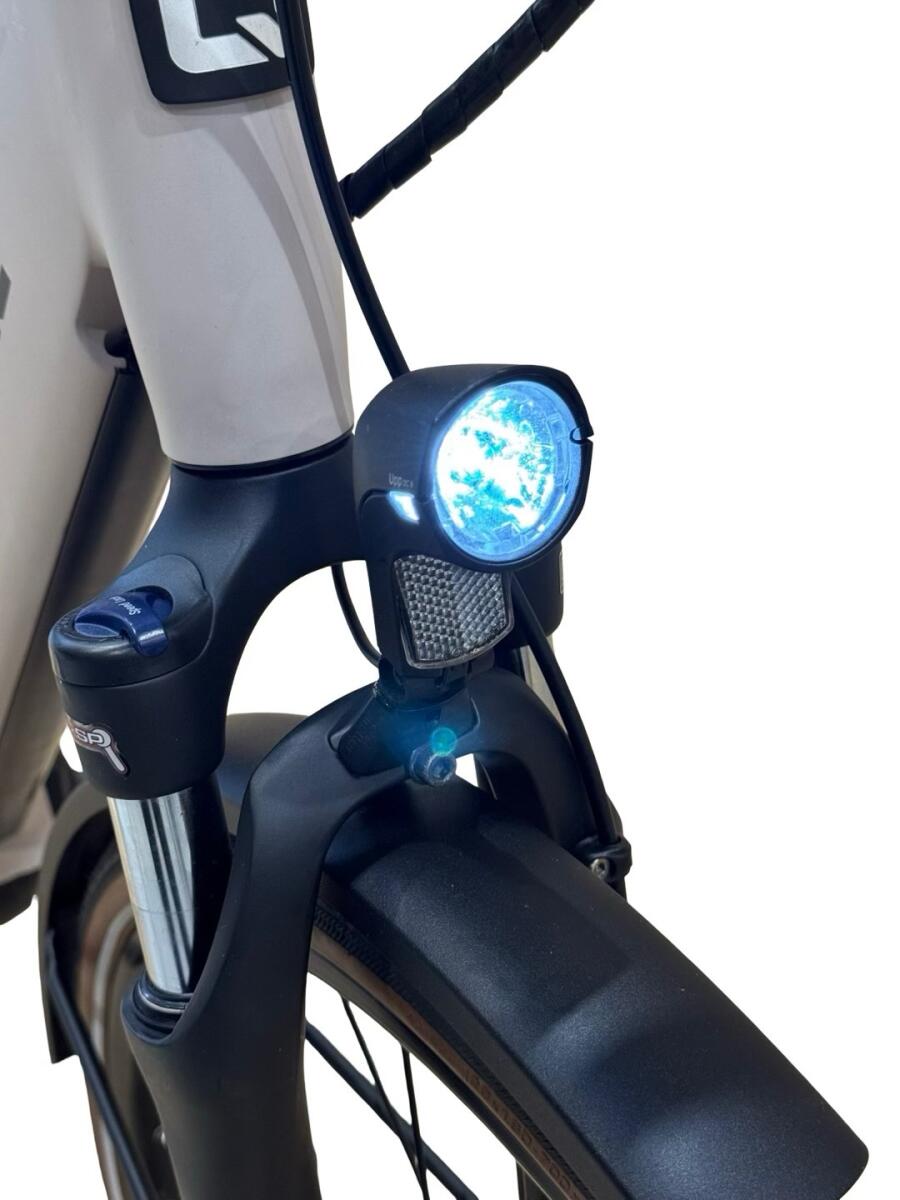 Qwic Premium i MN7 E-Bike Shimano Nexus 2021 (5)