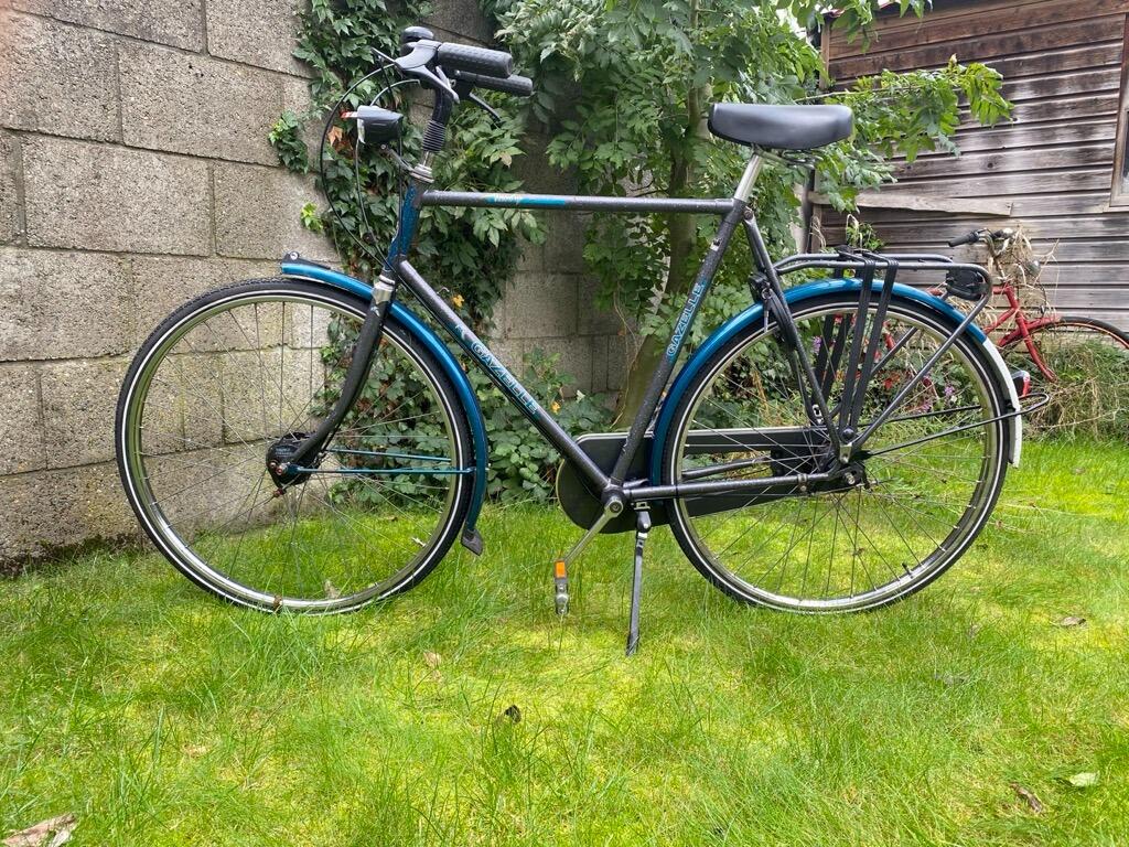 Klassieke groene Gazelle Trendy (3)