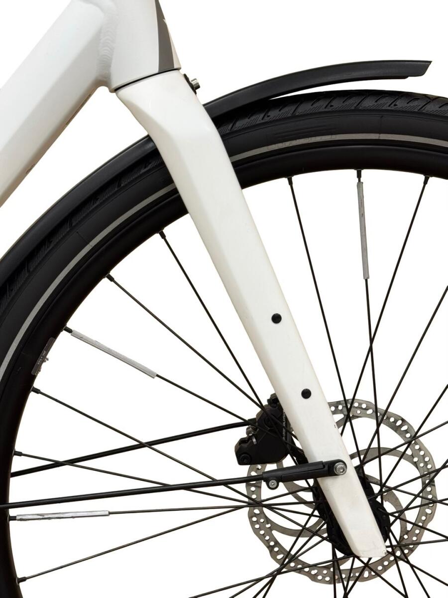Rose Sneak Plus EQ E-Bike Mahle 2023 (4)