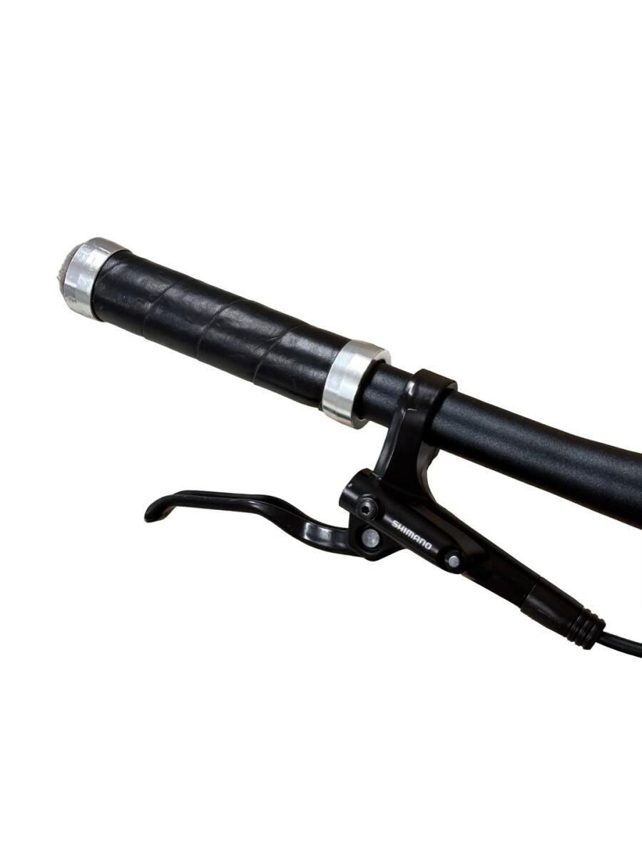 Rose Sneak Plus EQ E-Bike Mahle 2023 (5)