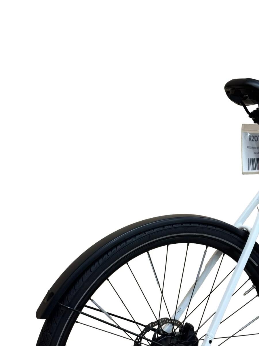 Rose Sneak Plus EQ E-Bike Mahle 2023 (3)