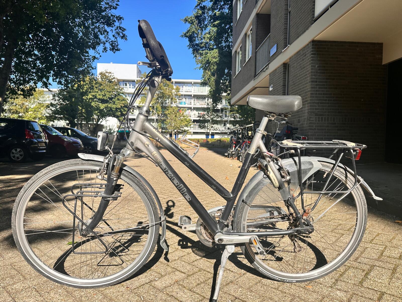 Grey/metal Gazelle Fuente 27 verselingen (3)
