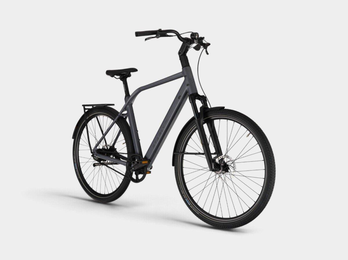 Urban Super Lite 360Wh, grey/metal (3)