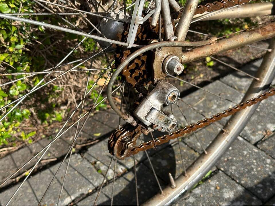 Koga-Miyata Vintage Traveler Lady (4)