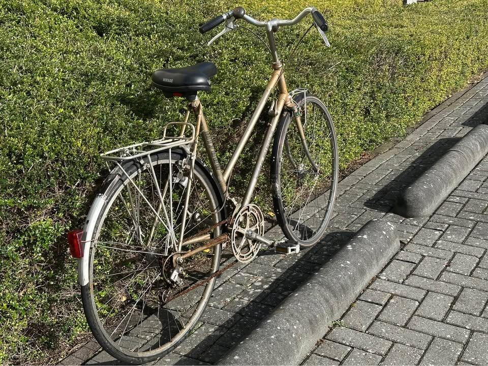 Koga-Miyata Vintage Traveler Lady (3)