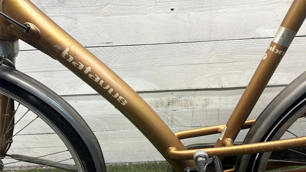 Batavus city bike, grey/metal (3)