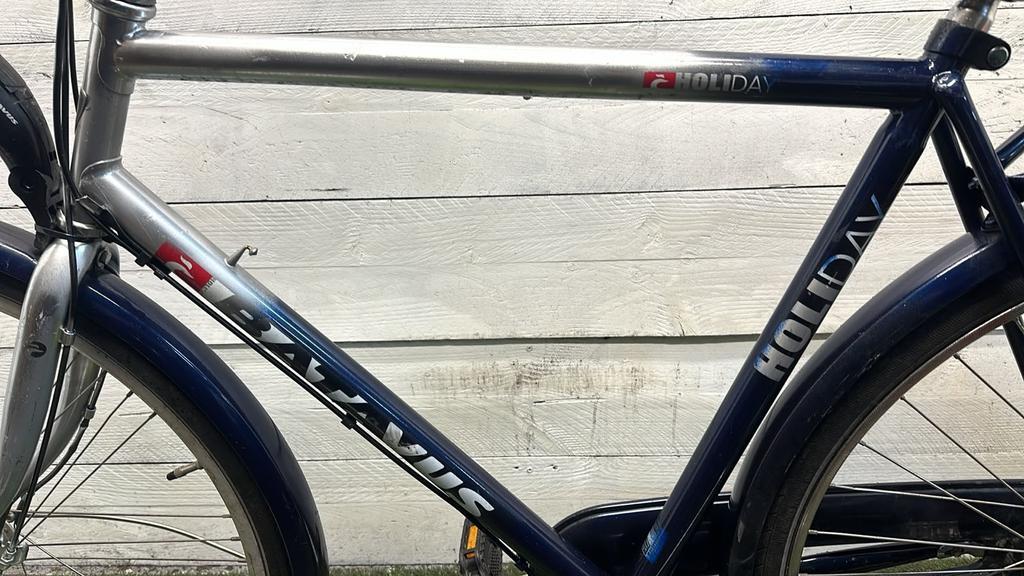 Batavus city bike, blue (3)