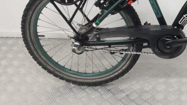 Batavus snake | Gebruikt | 3 maanden garantie | 20 inch |, green (3)