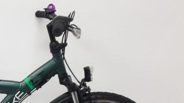 Batavus snake | Gebruikt | 3 maanden garantie | 20 inch |, green (5)