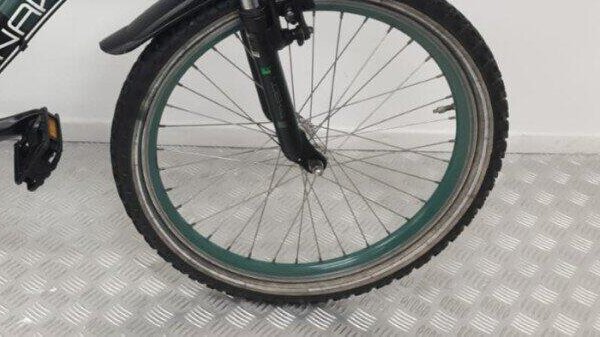 Batavus snake | Gebruikt | 3 maanden garantie | 20 inch |, green (4)