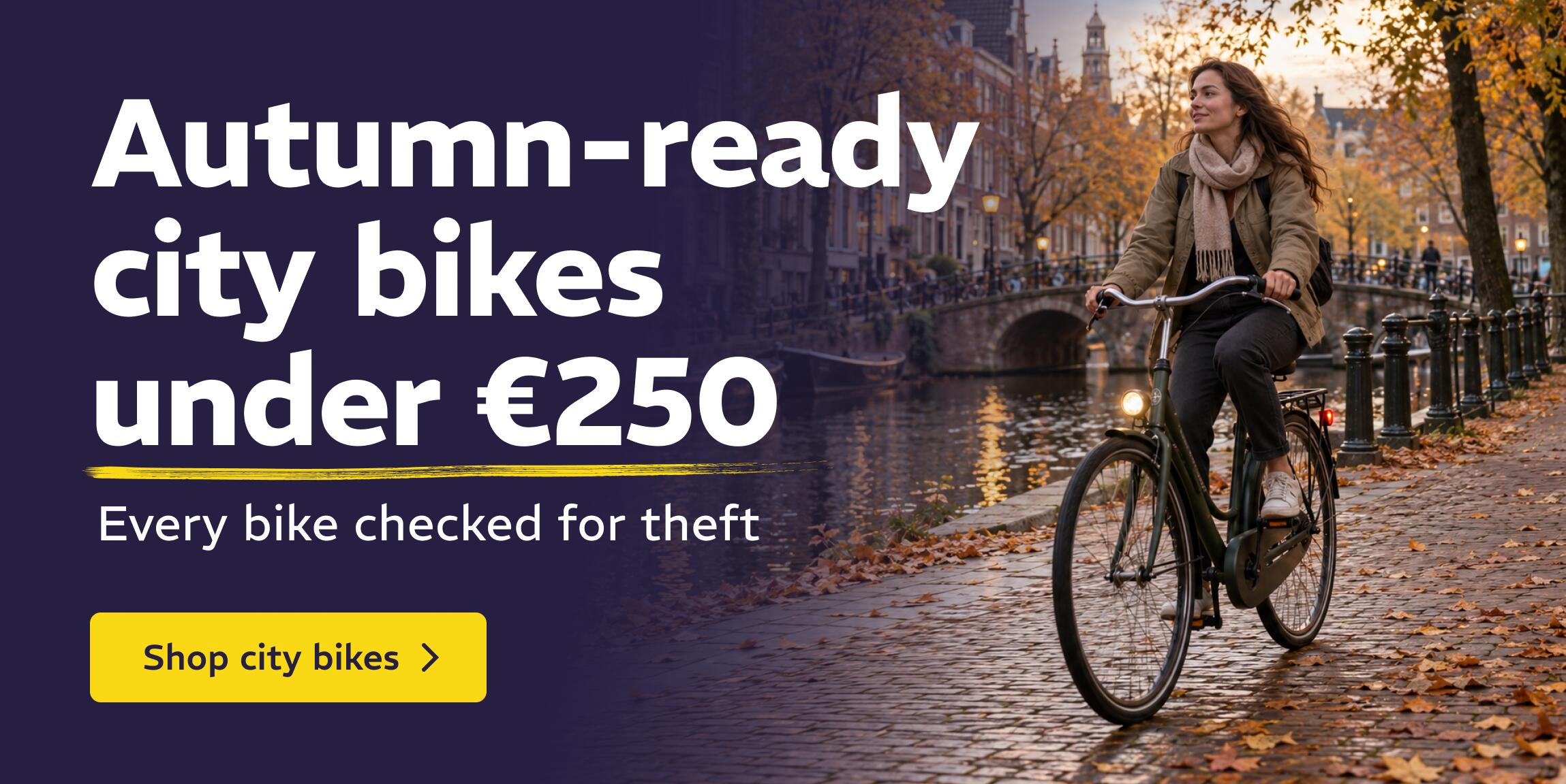 Autumn-ready city bikes under €250