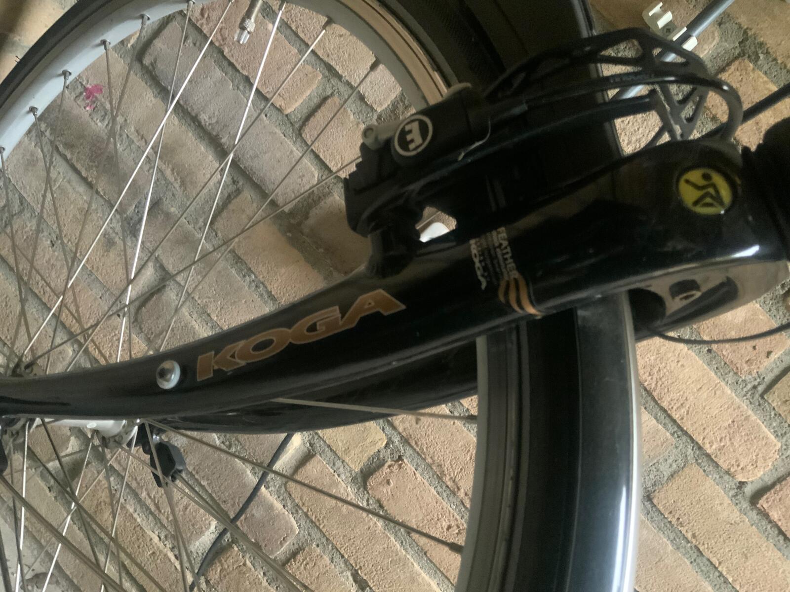 Zwart Koga