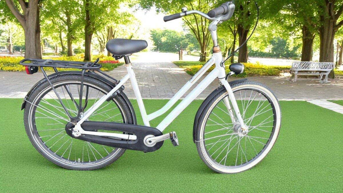 Gazelle NL Nexus R3 Remnaaf Dames Wit 54cm Dames