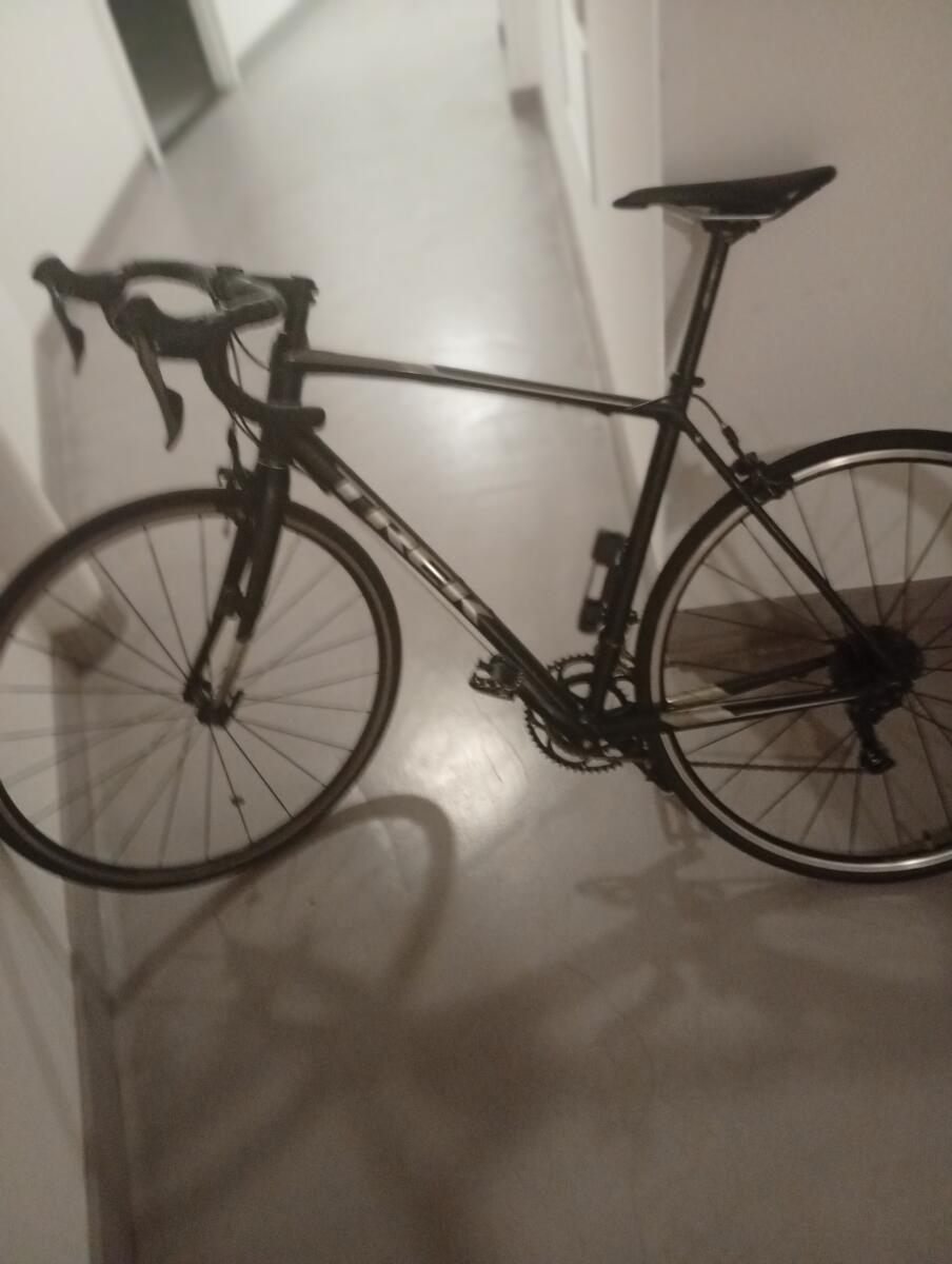 Black Trek Domane AL2