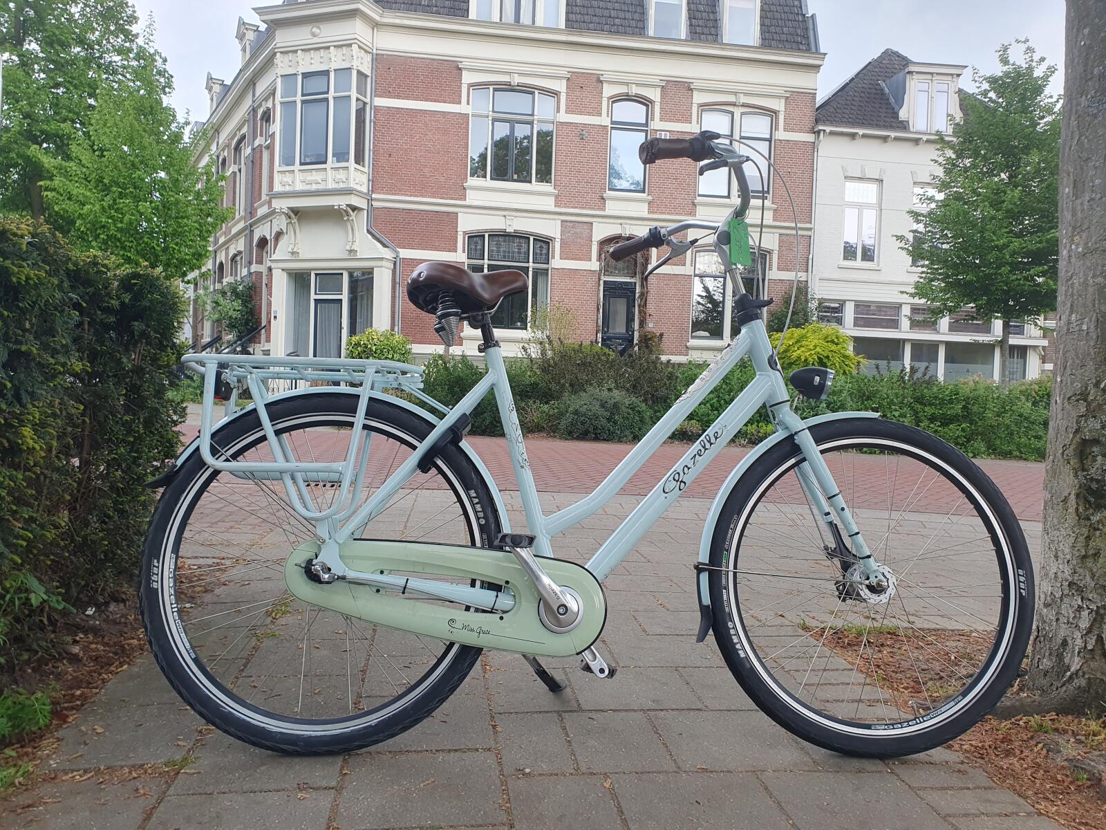 Turquoise Gazelle Miss Grace