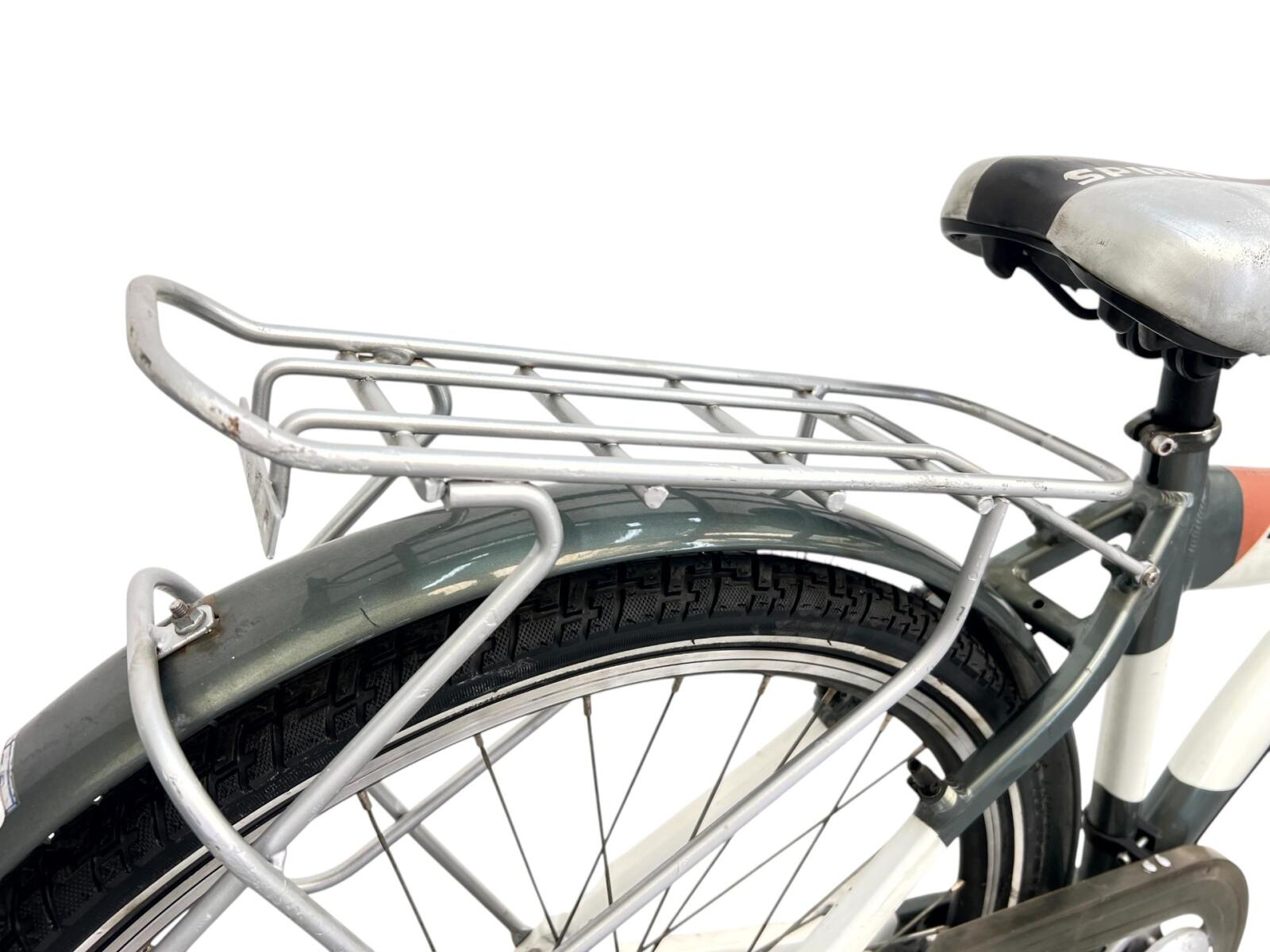 Alpina city bike, white (3)